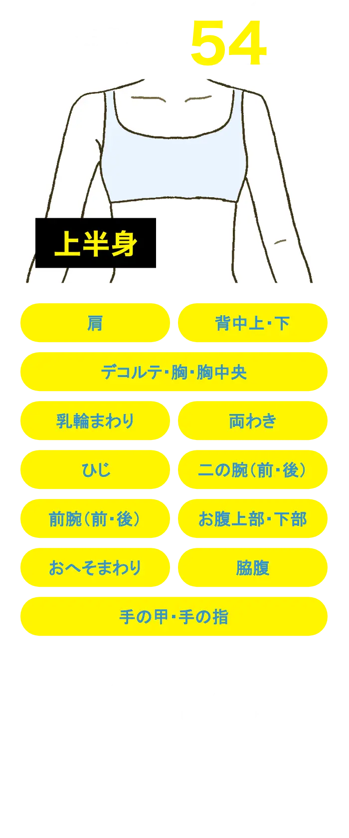 上半身