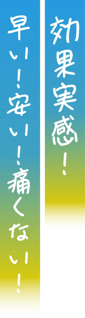 効果実感！速い！安い！痛くない！