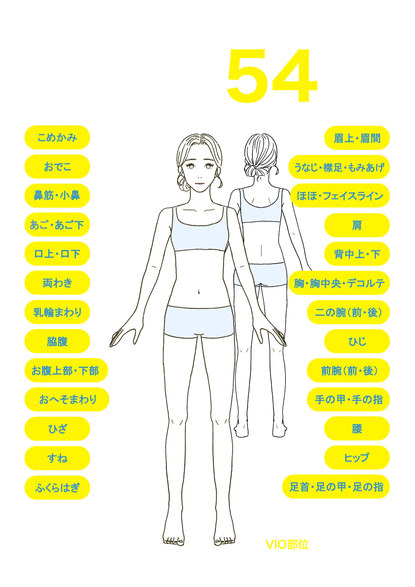 脱毛部位全身54ヶ所